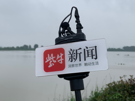 土长的南京, 我们用扎实, yid
